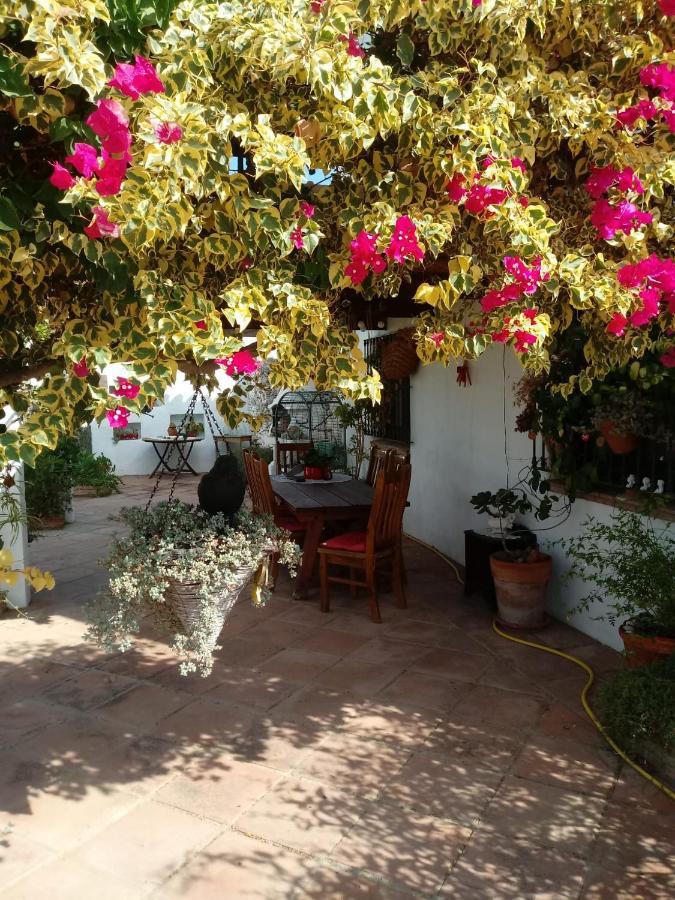 Bed and Breakfast Casa Miguel Pizarra Zewnętrze zdjęcie